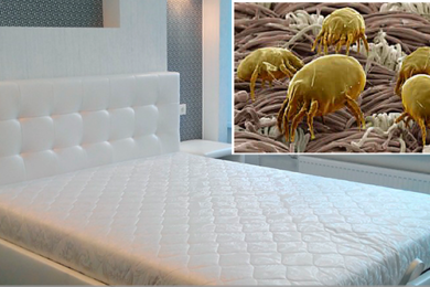 Химчистка матрасов в Минске